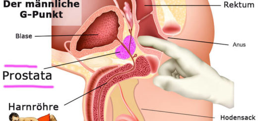 Der männliche G-Punkt (Prostata)