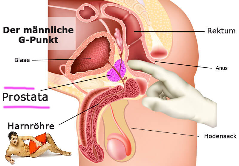 Stimulation der Prostata - der männliche G-Punkt